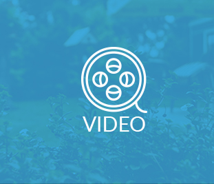 Bademli Teras Video